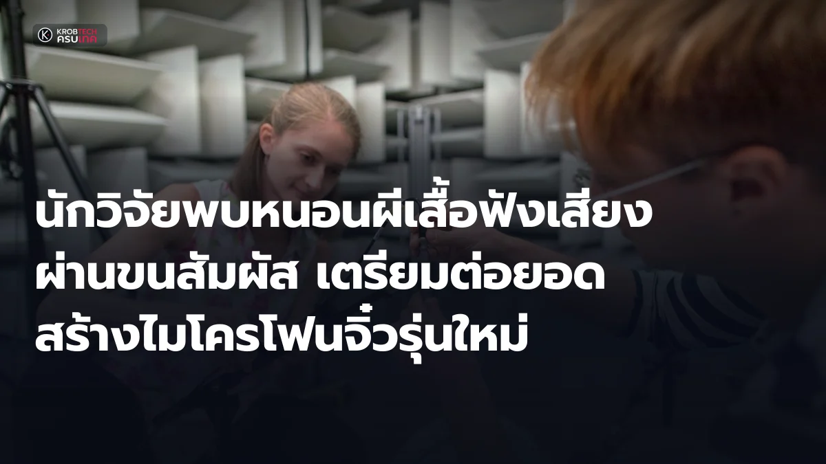 นักวิจัยพบหนอนผีเสื้อฟังเสียงผ่านขนสัมผัส เตรียมต่อยอดสร้างไมโครโฟนจิ๋วรุ่นใหม่
