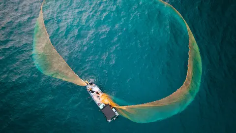 NOAA ปรับนโยบายหนุนประมงพาณิชย์ เปิดทางจับปลาในเขตอนุรักษ์ล้านตารางไมล์