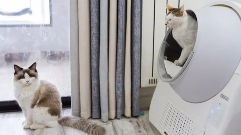 Petlibro เปิดตัวเครื่องให้อาหารแมว Granary 2 ชูระบบกล้อง AI และตาชั่งในตัว